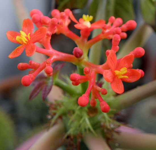 PB130091.JPG
