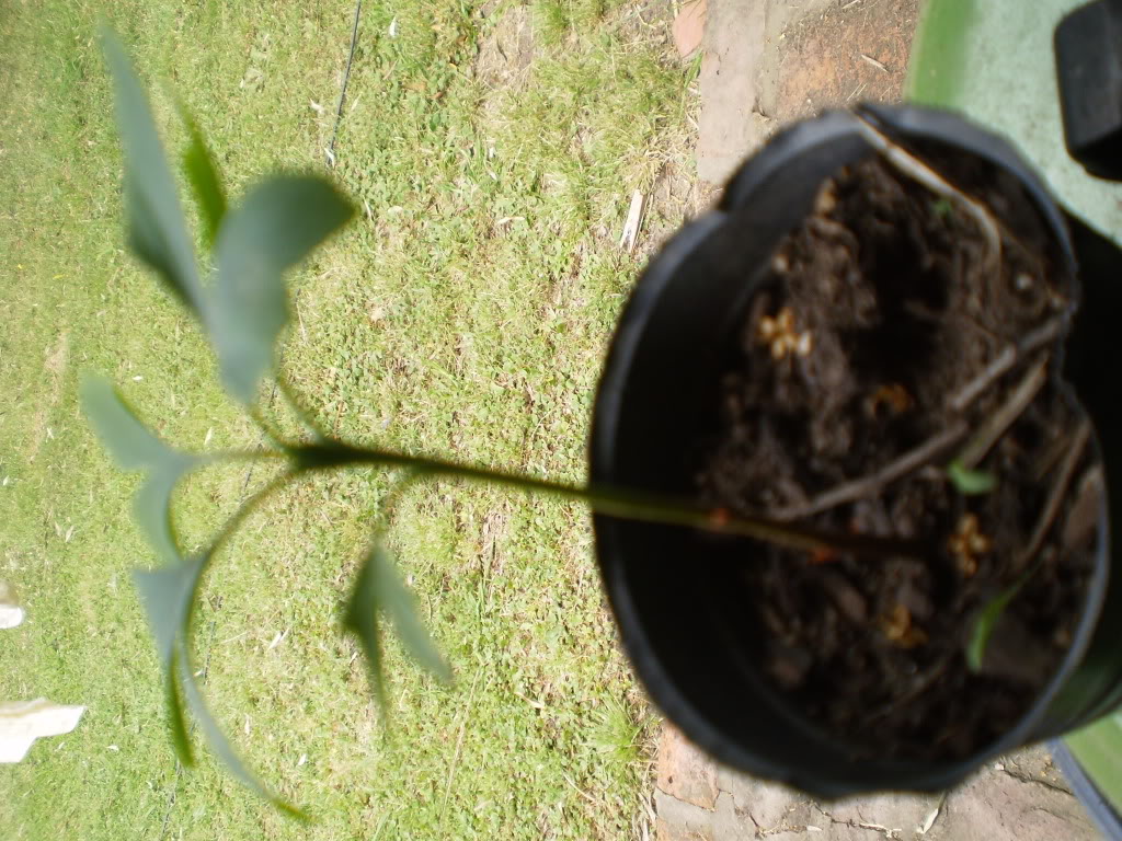 PB160005.jpg