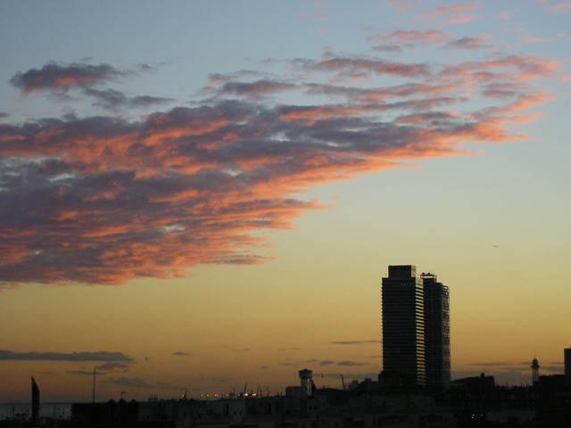 PB170108.JPG