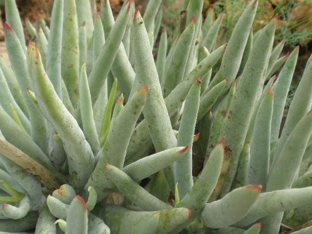 PB180263.JPG