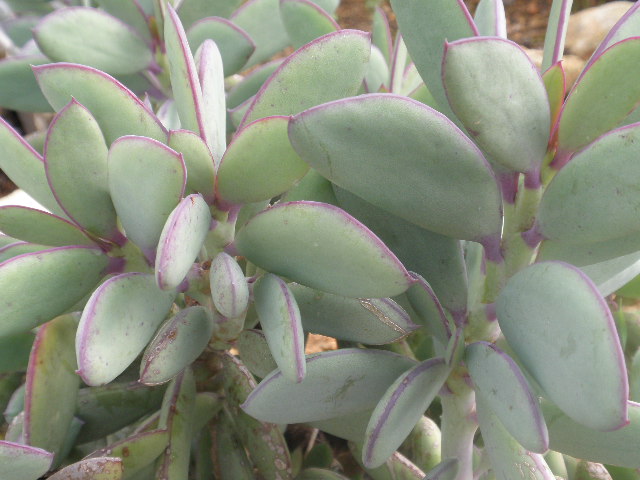 PB180264.JPG