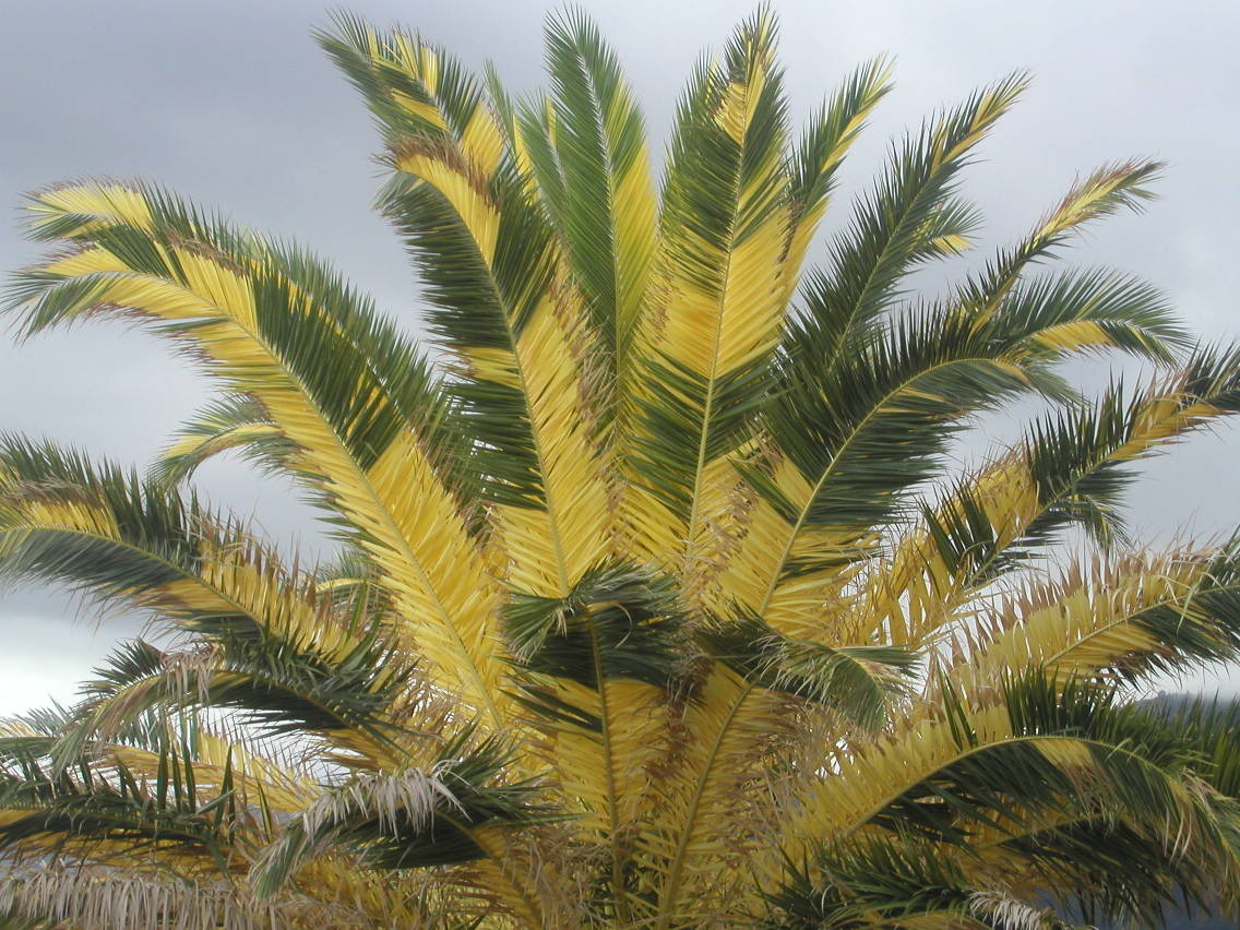 PB230065.jpg