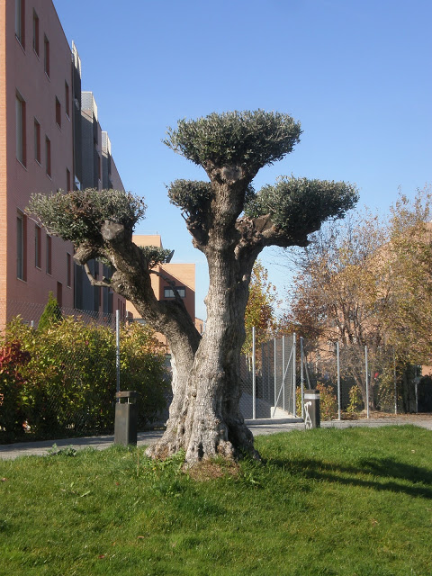 PB270973.JPG