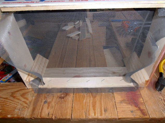 PB280009.JPG