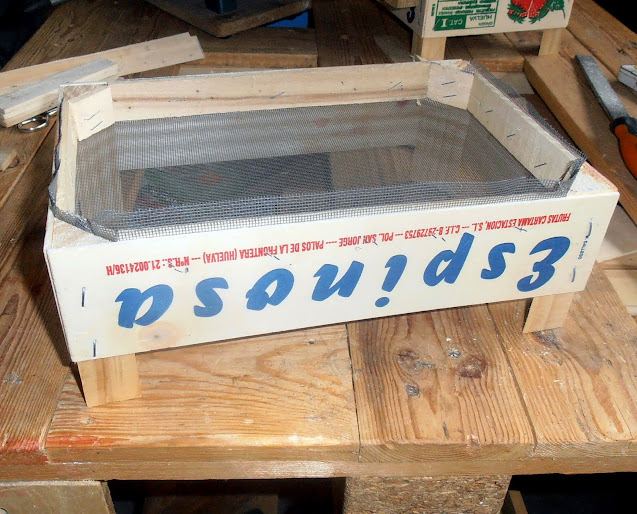PB280013.JPG