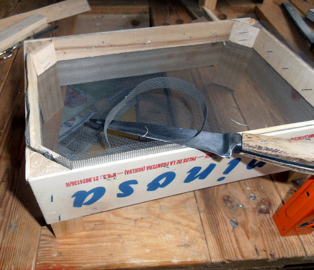 PB280014.JPG