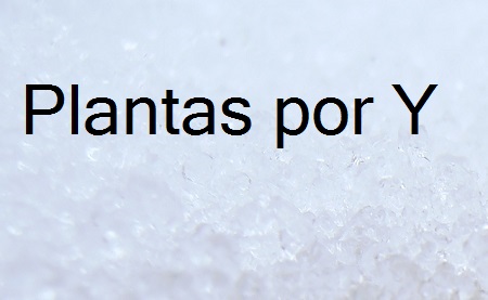 PC020476%2B-%2Bcopia%2B-%2Bcopia%2B%252826%2529.JPG
