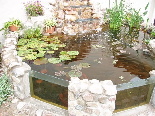 PC240001.jpg