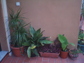 pcDB5SEa1DkRXuY6EOCb1SGwhjMGM3JPPN0YyYlPnIQ=w276-h207-p-no.jpg