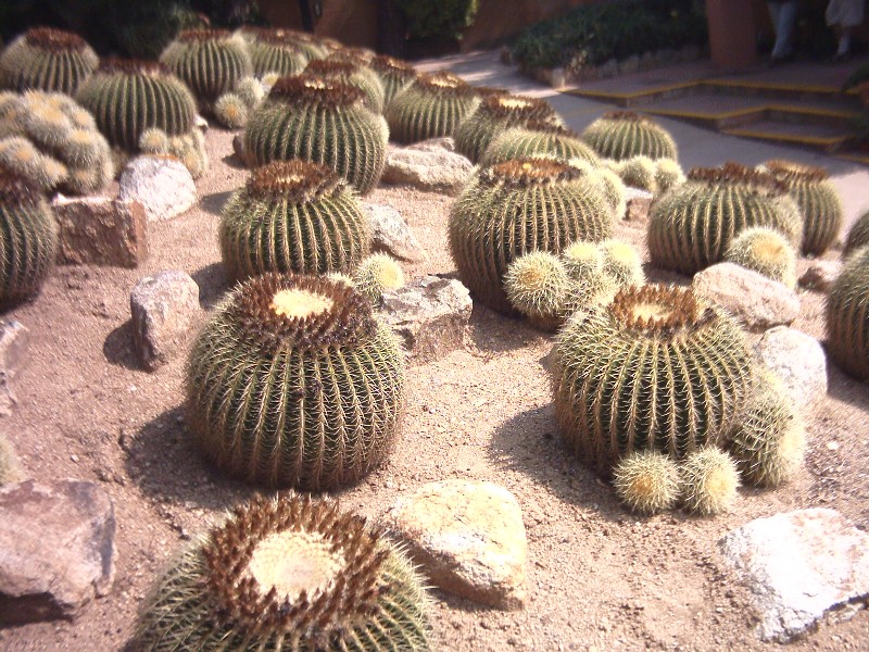 PCDV0003.JPG