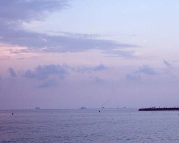 PCDV0004_.JPG