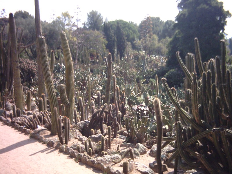 PCDV0011.JPG