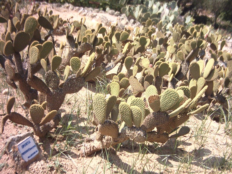 PCDV0016.JPG