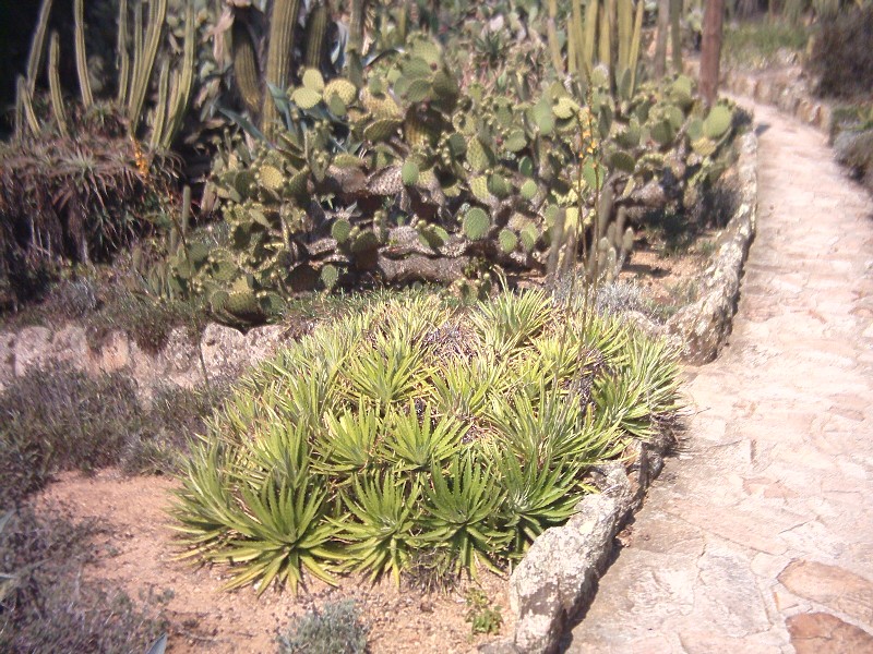 PCDV0025.JPG