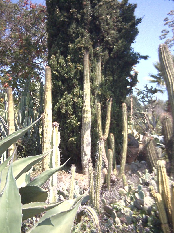 PCDV0026.JPG