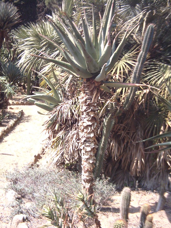 PCDV0040.JPG