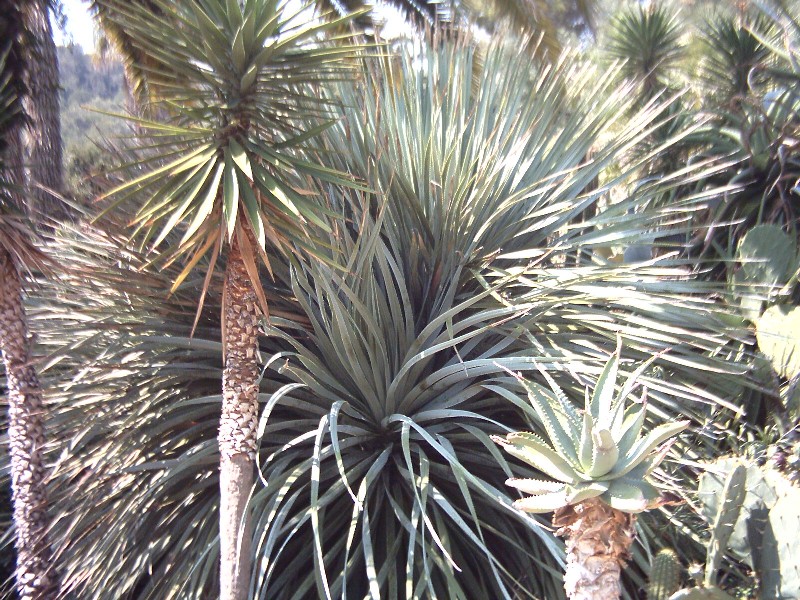 PCDV0044.JPG