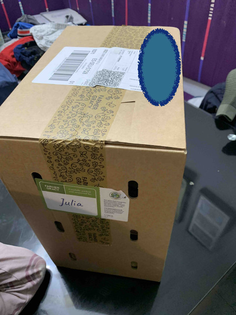 pedido-bulbos01.jpg