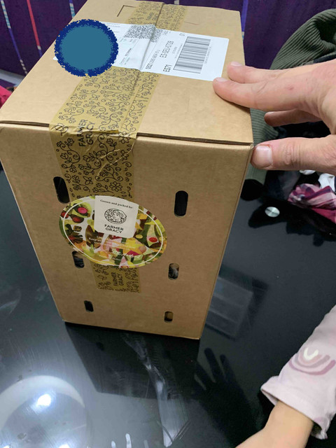 pedido-bulbos02.jpg