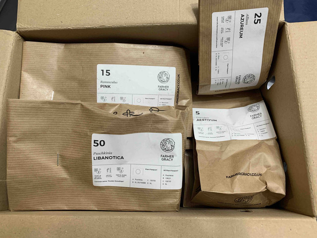 pedido-bulbos05.jpg