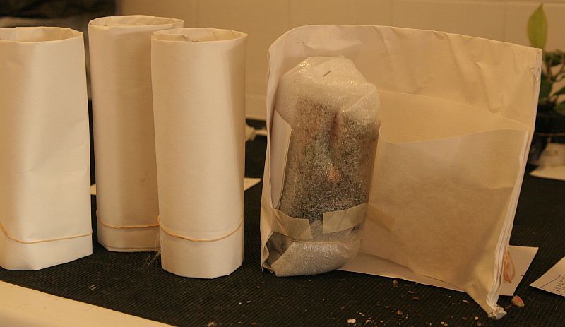 pedido09_zpsb122122c.jpg