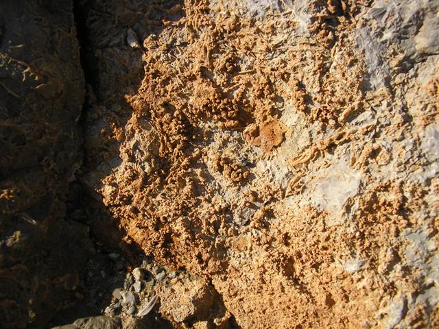 Pedra_022.jpg