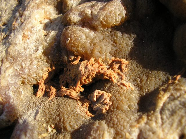 Pedra_057.jpg