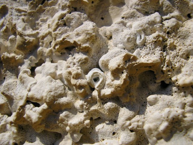 Pedra_070.jpg