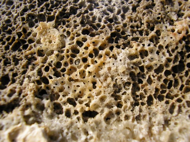 Pedra_072.jpg