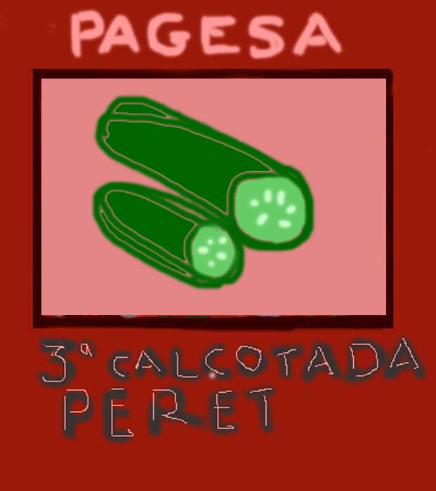 pegatapagesa.jpg