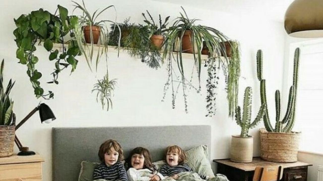 peligro-plantas-dormitorio.jpg