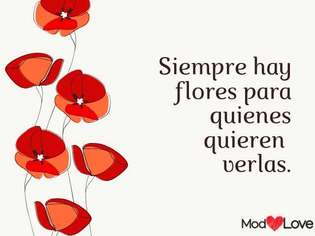pensamientos-positivos-3.jpg
