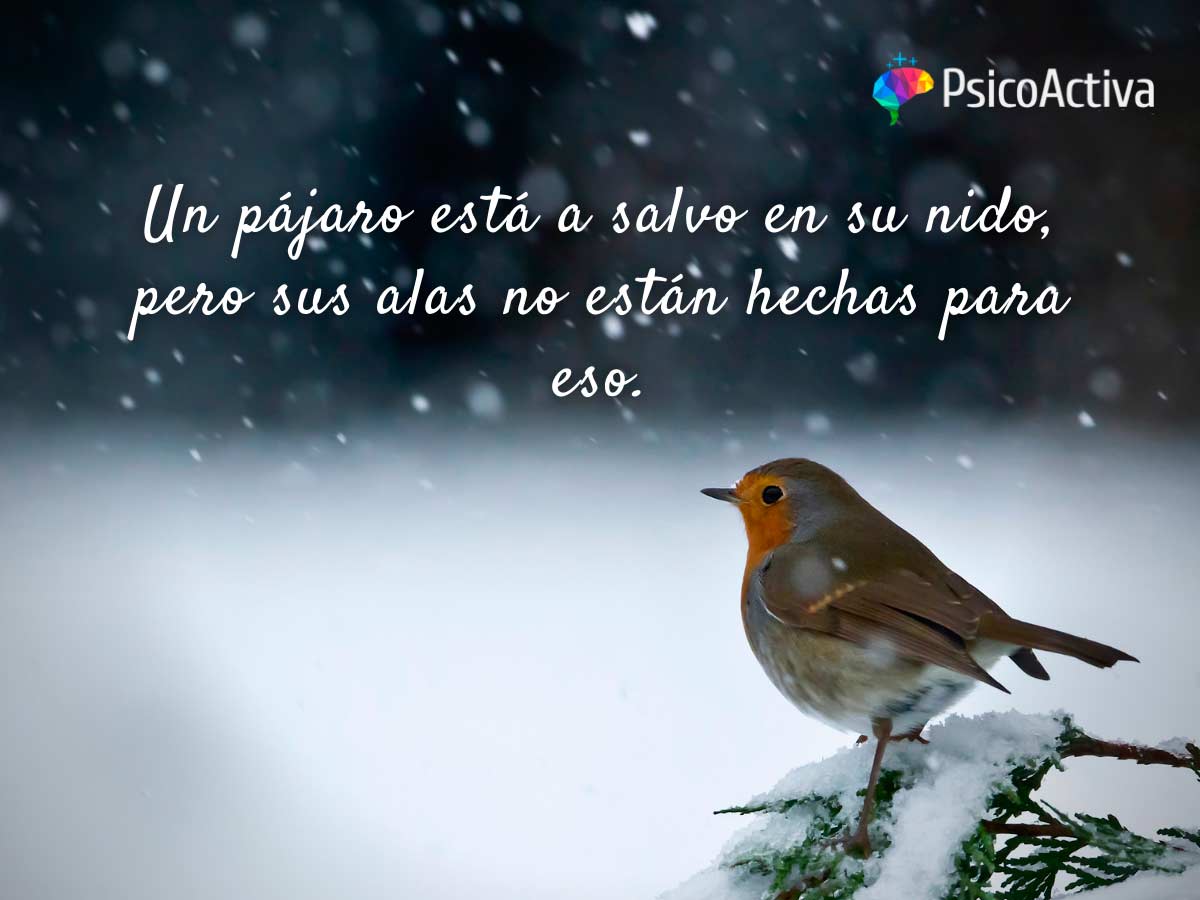 pensamientos-positivos.jpg