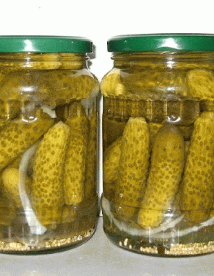 pepinos-388x500.gif