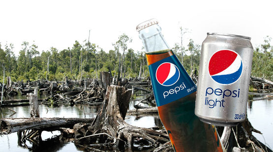 pepsi-regenwald-rodung-montage.jpg
