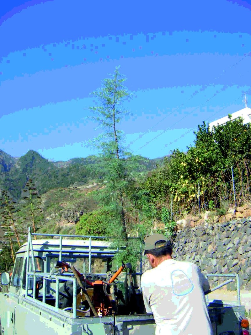 peq410.jpg