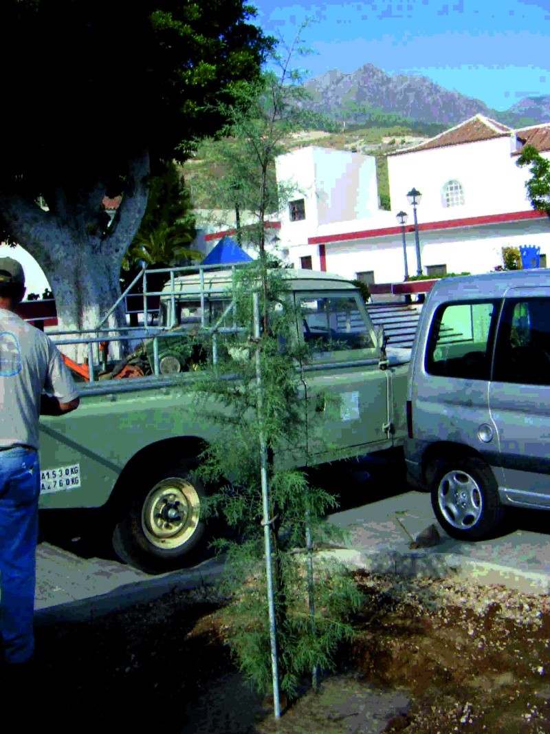 peq810.jpg