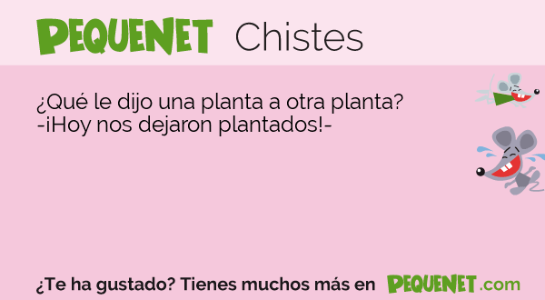pequenet-chistes-que-le-dijo-una-planta-a-otra-planta.png