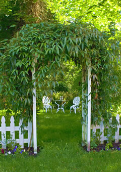 pergola%7E0.jpg