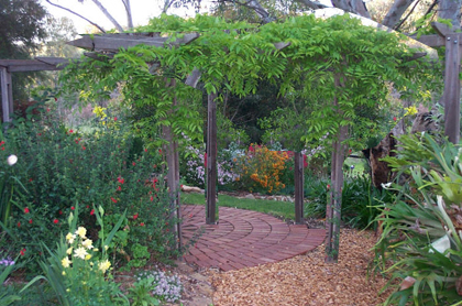 PERGOLA.jpg
