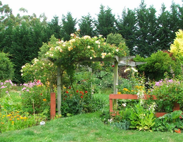 pergola.jpg