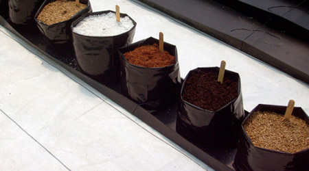 perlita_peat_moss_fibra_de_coco_vermiculita.jpg