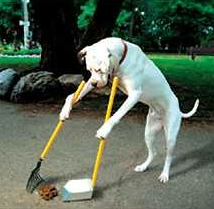 perro-barre-caca.jpg