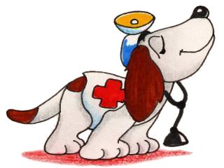 perro_medico.jpg