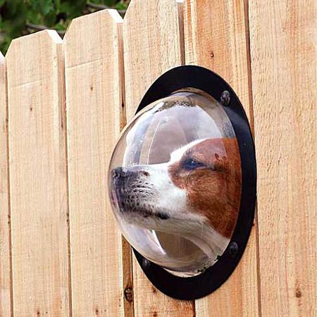 pet-peek.jpg