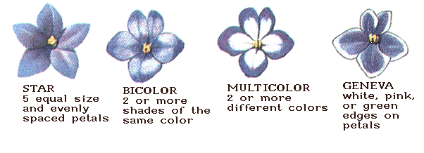 petals2.gif