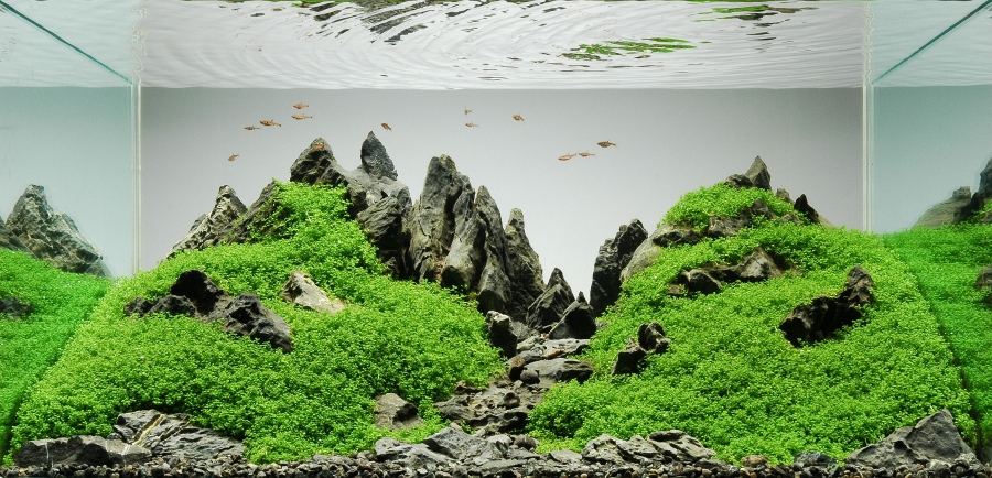 Peter_Kirwan_Mountainscape.jpg