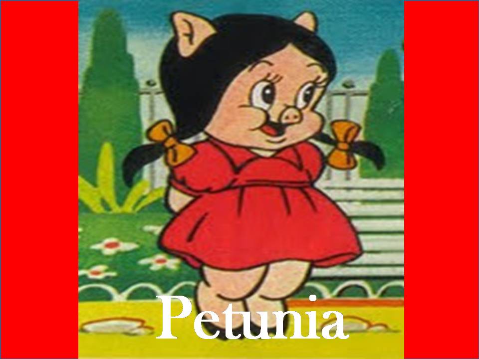 petunia-nombre.jpg