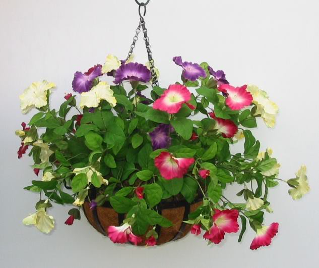Petunia20hanging20basket.jpg