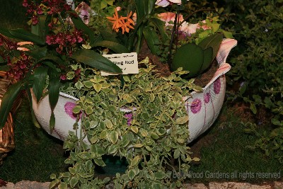 Philly%20Flower%20Show_2012-03_tire%20planter.jpg